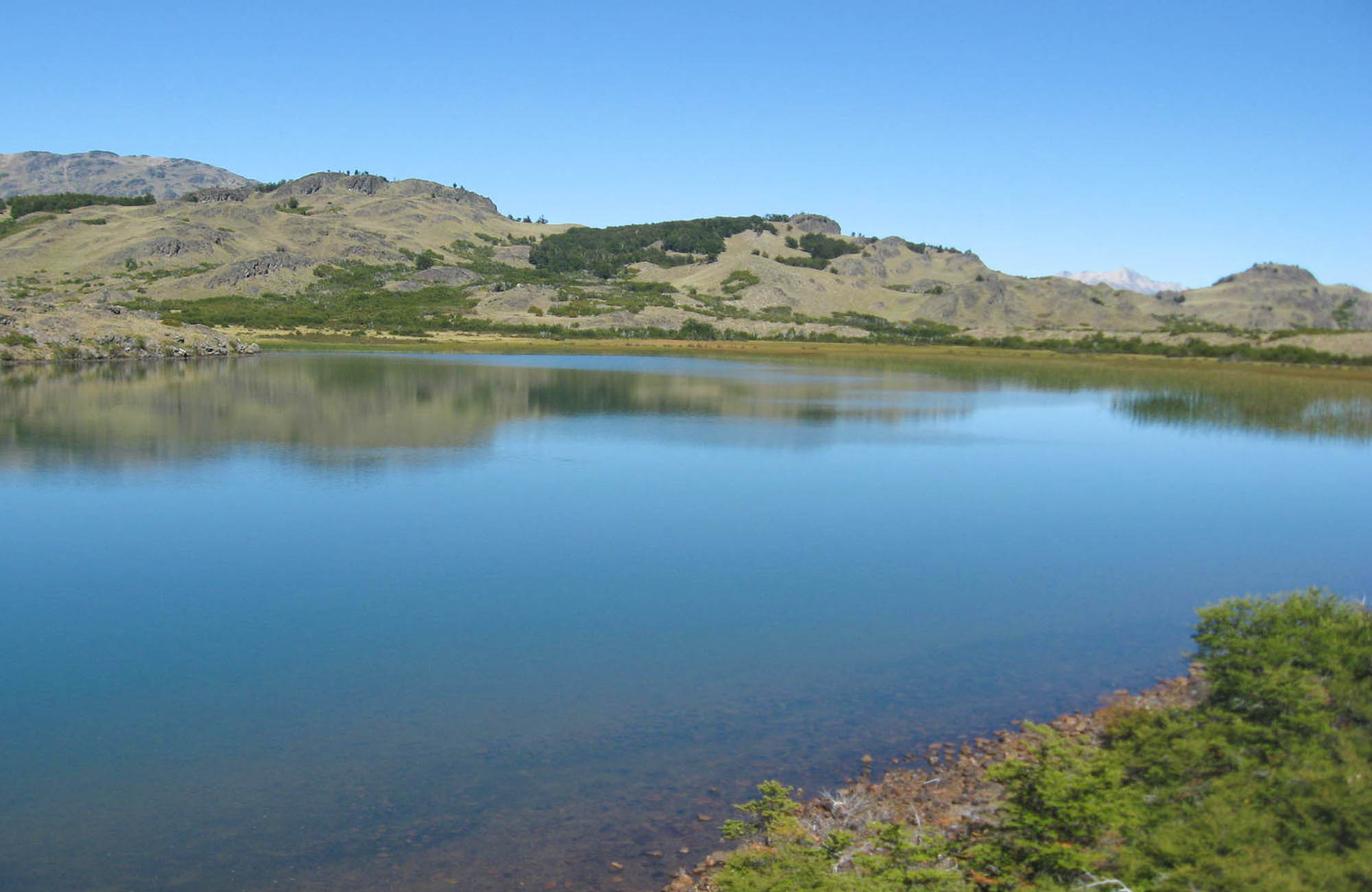 Reserva Nacional Lago Carlota