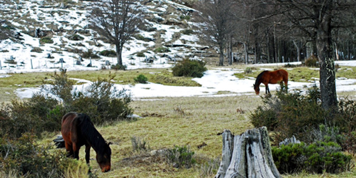 Reserva Nacional Trapananda