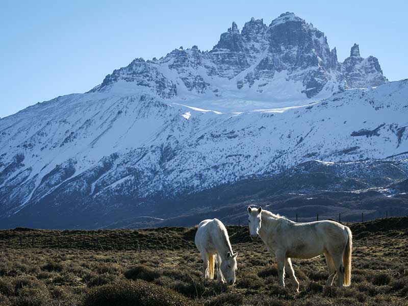 Parque Nacional Cerro Castillo